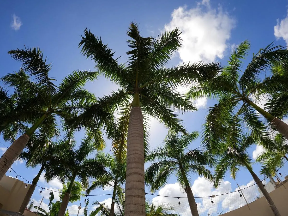 Azcapri Villa Boutique & Spa Cancún